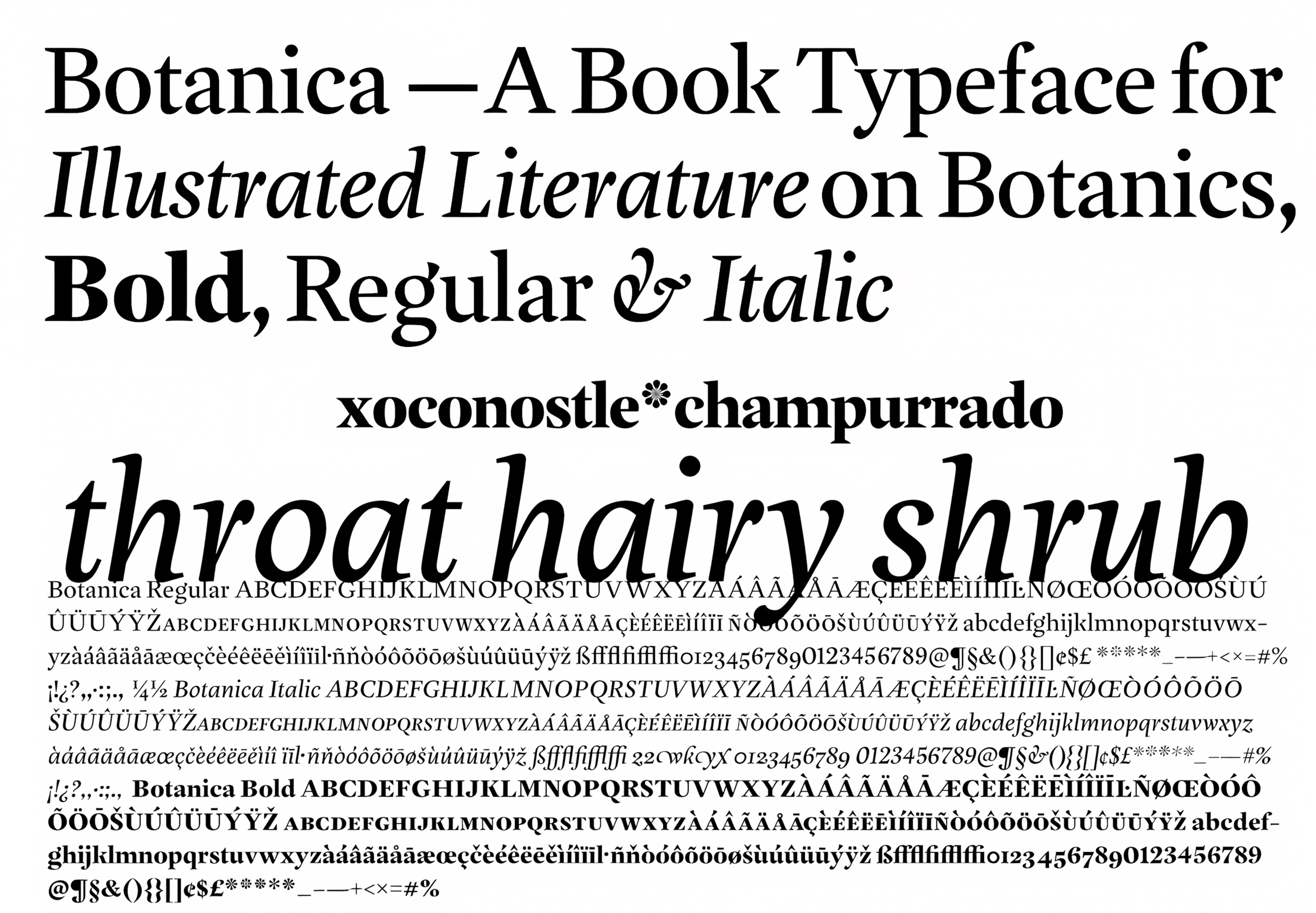 Muestra tipográfica